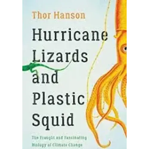 Hurricane Lizards & Plastic Squid