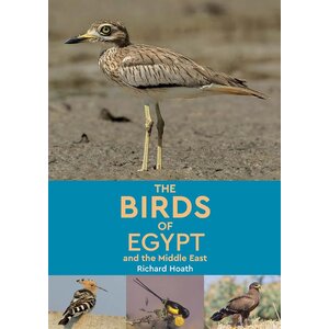 Birds of Egypt & the Middle East