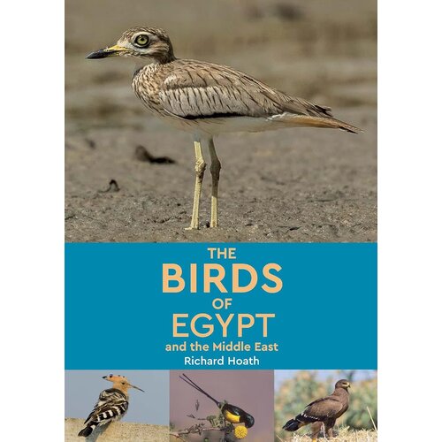 Birds of Egypt & the Middle East