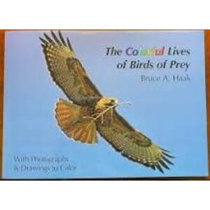 The Colorful Lives of Birds of Prey