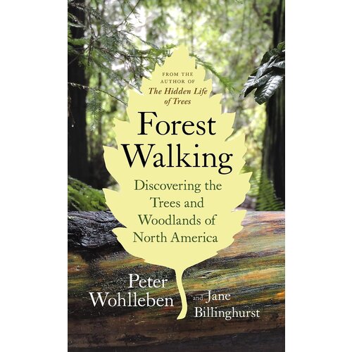 Forest Walking: Discovering the Trees and Woodlands of NA