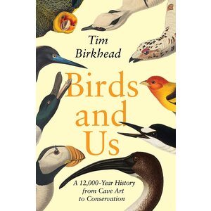 Birds and Us