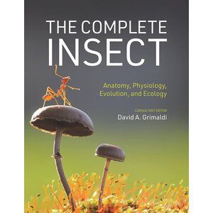 The Complete Insect