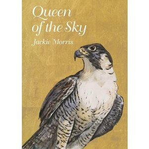 Queen of the Sky by Jackie Morris