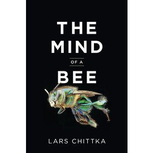 Mind of a Bee