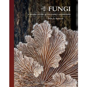 Lives of Fungi