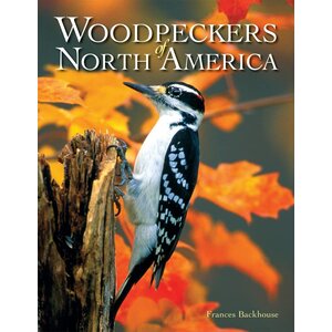 Woodpeckers of North America