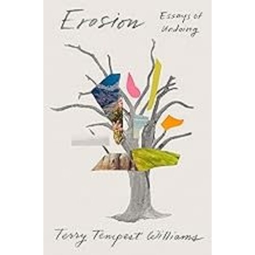 Erosion: Essays of Undoing - paperback