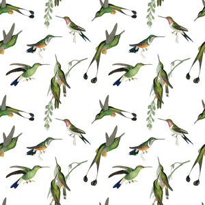 Fairhope Graphics Hummingbird Gift Wrap Paper