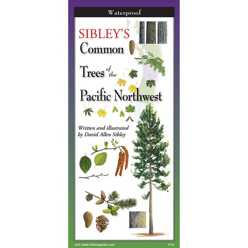 Sibleys Guide to Common Trees of the Pacific Northwest Laminated Chart