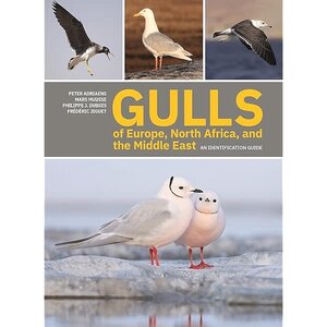 Gulls of Europe, North Africa, and the Middle East