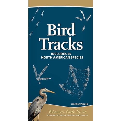 North American Bird Tracks - spiralbound
