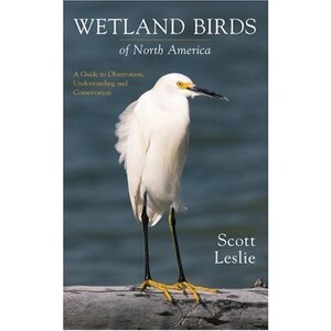 WETLAND BIRDS OF NORTH AMERICA-clearance