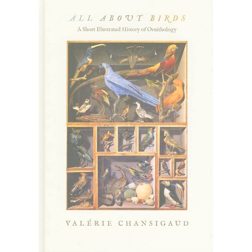 ALL ABOUT BIRDS - CLEARANCE