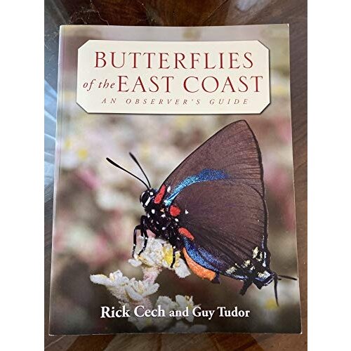 BUTTERFLIES OF THE EAST COAST-CLEARANCE