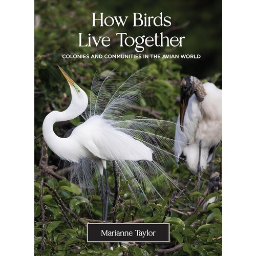 HOW BIRDS LIVE TOGETHER BY MARIANNE TAYLOR