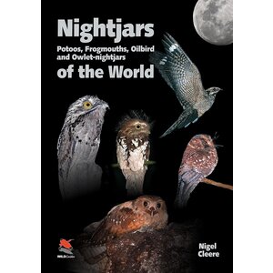 Nightjars of the World-clearance