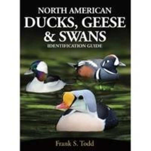 NORTH AMERICAN DUCKS, GEESE & SWANS-clearance