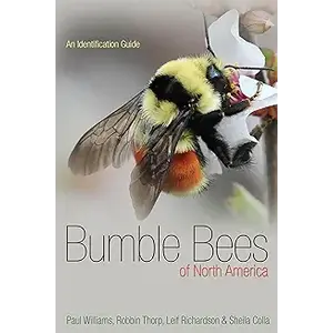 BUMBLE BEES OF NA-CLEARANCE