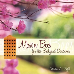 MASON BEES FOR THE BACKYARD GARD-CLEARANCE