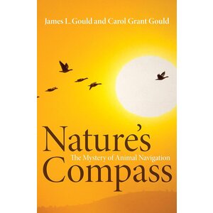 NATURE'S COMPASS - CLEARANCE