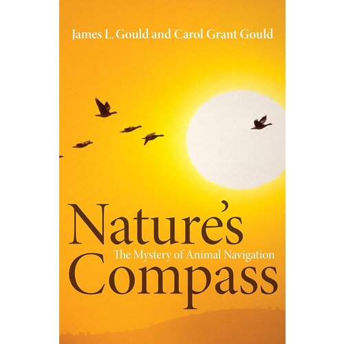 NATURE'S COMPASS - CLEARANCE