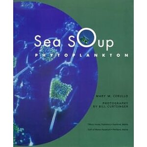 SEA SOUP: PHYTOPLANKTON  - CLEARANCE