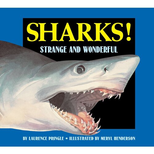 SHARKS! STRANGE AND WONDERFUL - CLEARANCE