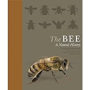 THE BEE A NATURAL HISTORY, PB-CLEARANCE