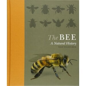 THE BEE A NATURAL HISTORY hardcover-CLEARANCE