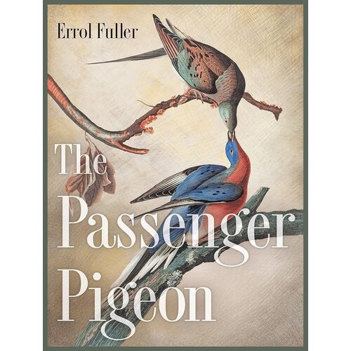 The Passenger Pigeon - CLEARANCE