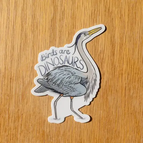 laurel mundy Birds are Dinosaurs Great Blue Heron 3" vinyl sticker
