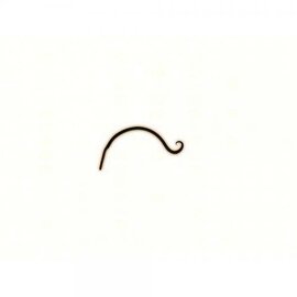9 Inch Wrought Iron Hook