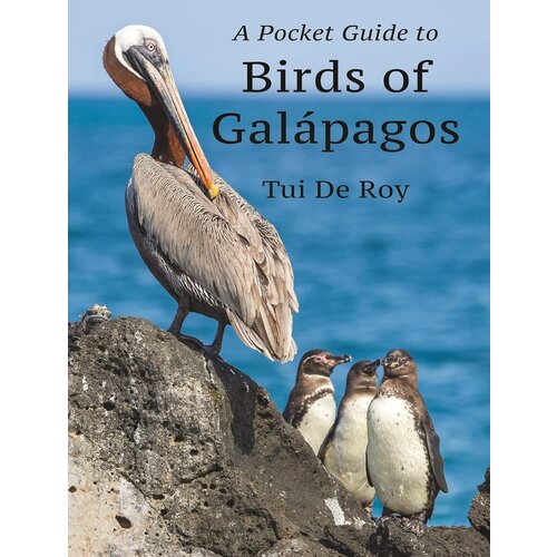 A Pocket Guide to Birds of Galápagos