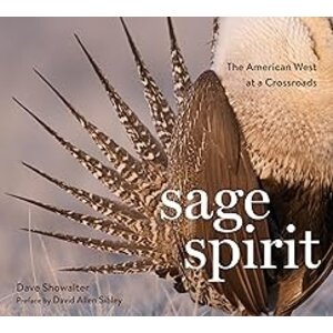 SAGE SPIRIT - CLEARANCE