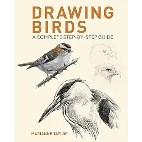 Drawing Birds: A Complete Step-By-Step Guide