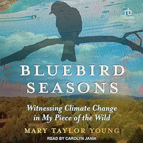 Bluebird Seasons: Witnessing Climate Change in My Piece of the Wild