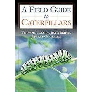 Caterpillars in the Field and Garden