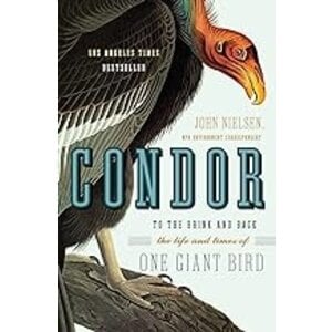 CONDOR: TO THE BRINK AND BACK