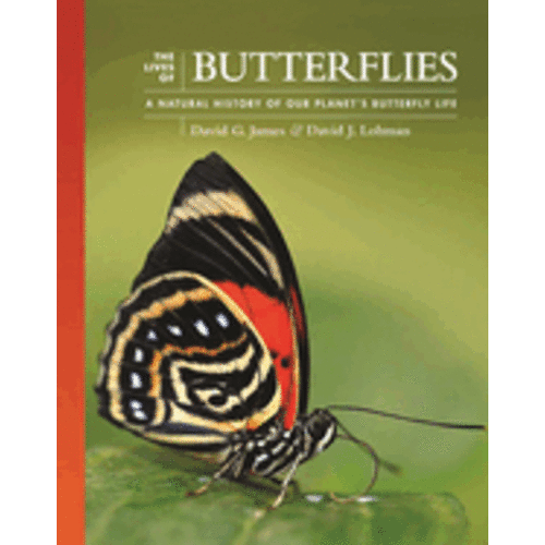 The Lives of Butterflies: A Natural History of Our Planet's Butterfly Life (Lives of the Natural World #6)