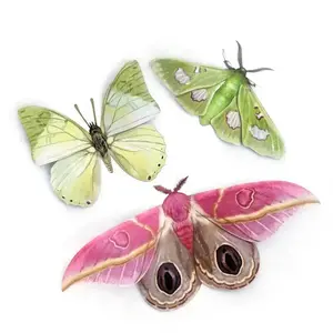 Moth and Myth Limelight Moth Set