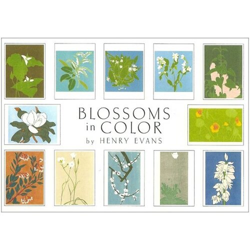 Crane Creek BLOSSOMS IN COLOR BOXED CARDS
