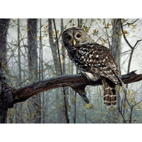SPIRIT OF THE FOREST 1000 PIECE OWL PUZZLE