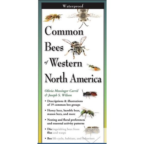 Common Bees of Western NA Folding Guide