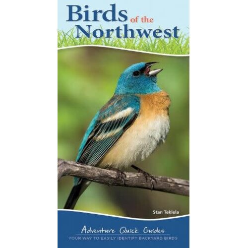 Birds of the Northwest: Your Way to Easily Identify Backyard Birds