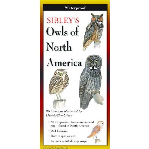 sibley Owls of North America Laminated Guide