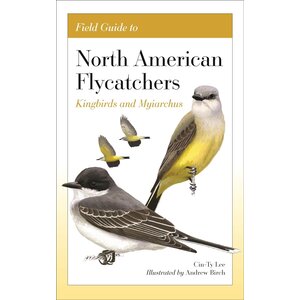 Field Guide to North American Flycatchers: Kingbirds and Myiarchus