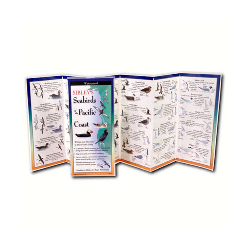 Sibleys Seabirds of the Pacific Coast Laminated Guide
