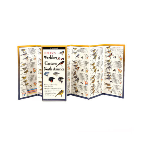 Sibleys Warblers of Eastern North America Laminated Guide