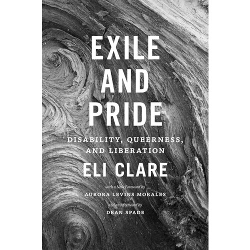 Exile and Pride: Disability, Queerness & Liberation